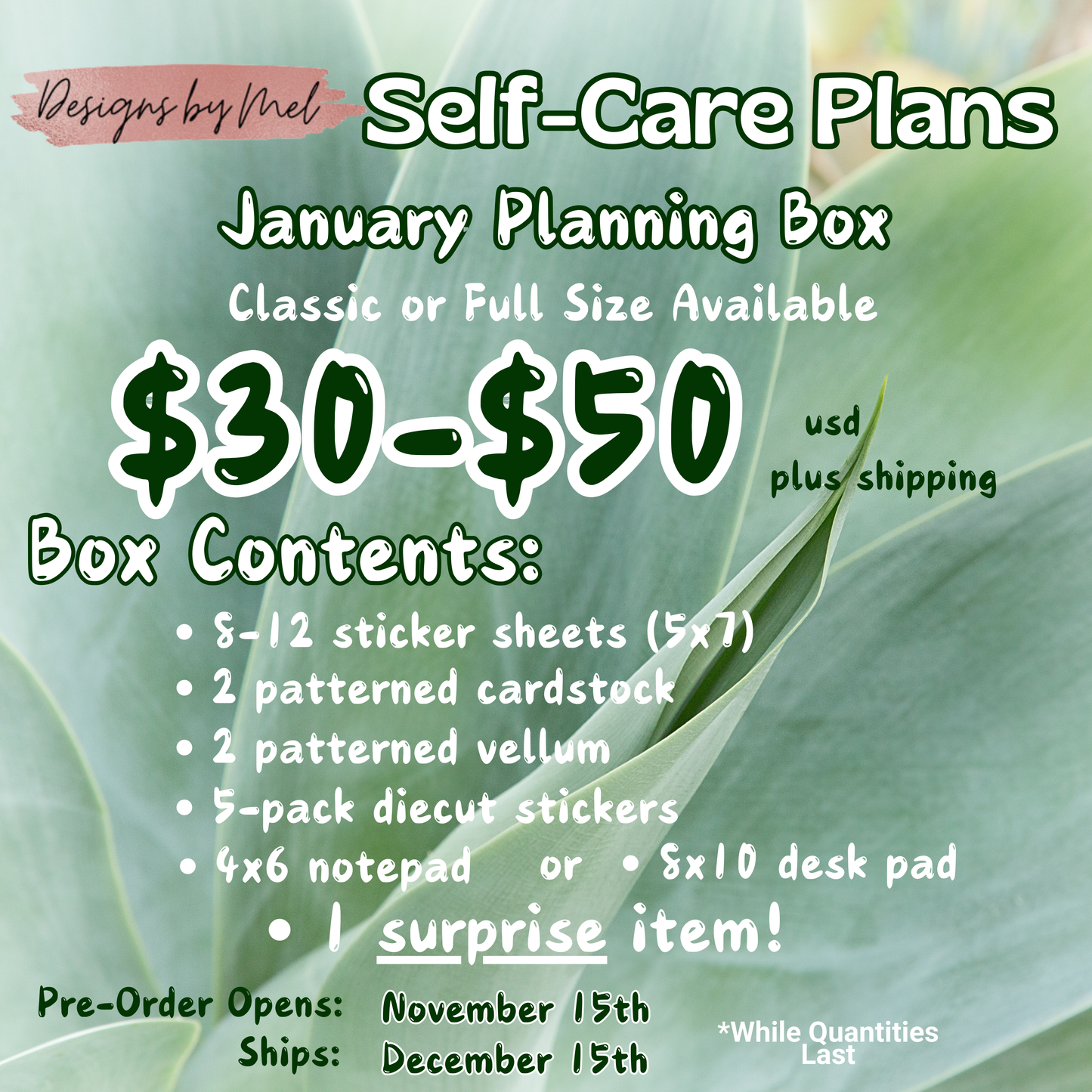 "Self-Care Plans"  January Planning Box